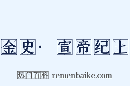 金史·宣帝纪上是什么意思的图片